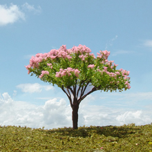 model trees